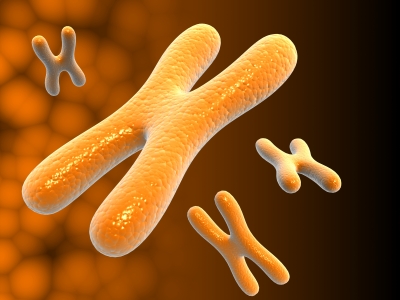 Image is a graphical representation of chromosomes. The image represents them as floating x shaped figures.