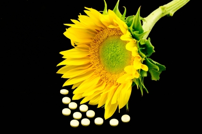 Image shows a yellow sunflower with pills imaged to look like they fell from the center of the flower.