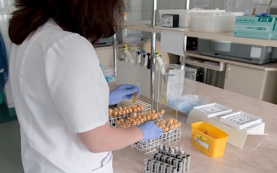 Image shows a lady at a laboratory bench working with test tubes.